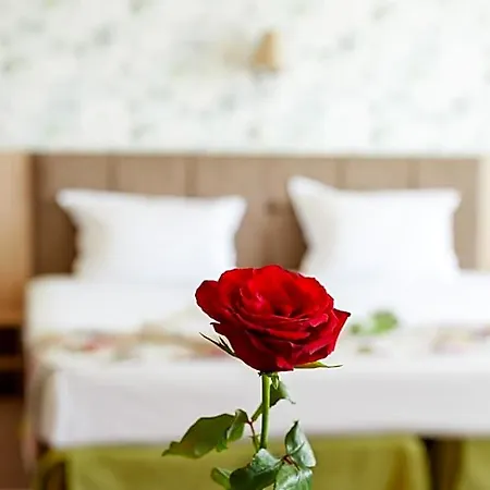 Alliance Hotell Plovdiv
